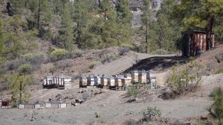 2022-03-GranCan-Presa_Chira-Trekking-PM-NN-24.JPG